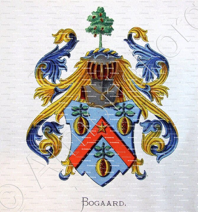 BOGAARD_Wapenboek van den Nederlandschen Adel. (J.B. Rietstap)._Nederland (i)