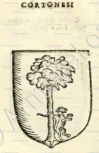 CORTONESI
