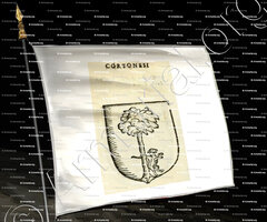 drapeau-CORTONESI_Forli, Romagna._Italia