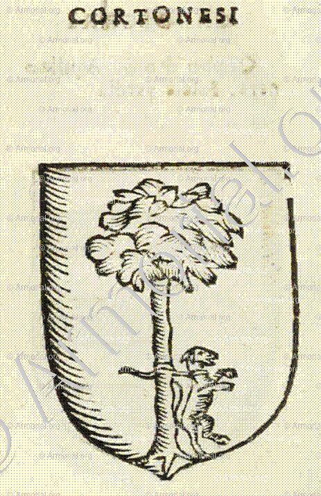 CORTONESI_Forli, Romagna._Italia