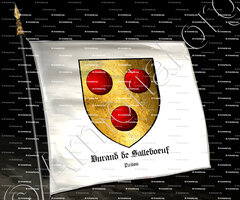 drapeau-DURAND de SALLEBOEUF_Poitou_France (1)