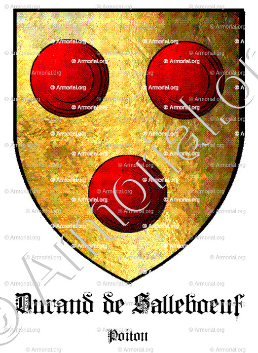 DURAND de SALLEBOEUF_Poitou_France (1)