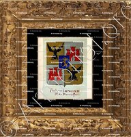 cadre-ancien-or-FRICHIGNONE_Armorial Nice. (J. Casal, 1903) (Bibl. mun. de Nice)._France (i)