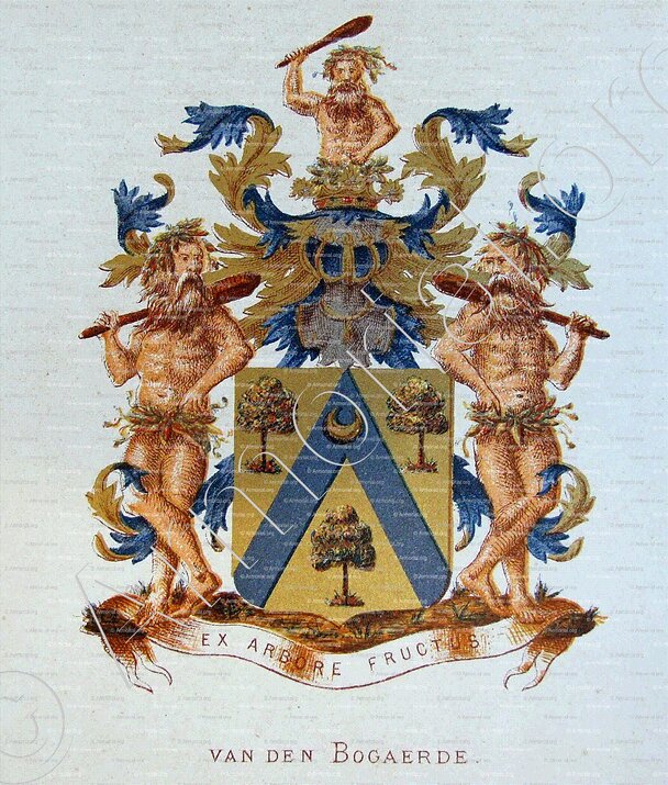 BOGAERDE_Wapenboek van den Nederlandschen Adel. (J.B. Rietstap)._Nederland (i)