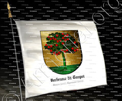 drapeau-BORDENAVE dit CAMPOT_Béarn (1805), Lyonnais (1835)_France copie