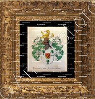 cadre-ancien-or-BOOGAERT van ALBLASSERDAM_Wapenboek van den Nederlandschen Adel. (J.B. Rietstap)._Nederland (i)