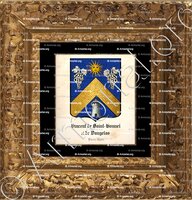 cadre-ancien-or-VINCENT DE SAINT-BONNET et DE VAUGELAS _Forez, Lyon._France (2)