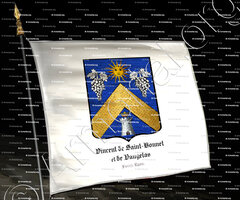 drapeau-VINCENT DE SAINT-BONNET et DE VAUGELAS _Forez, Lyon._France (2)
