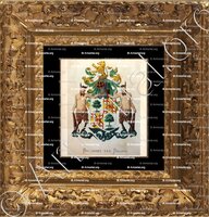 cadre-ancien-or-BOOGAERT van BELOYS_Wapenboek van den Nederlandschen Adel. (J.B. Rietstap)._Nederland (i)