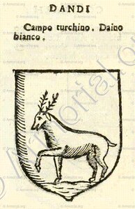 DANDI