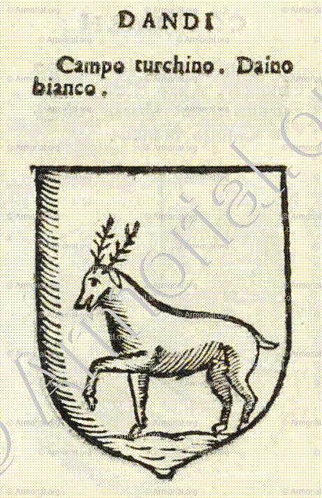 DANDI_Forli, Romagna._Italia