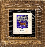 cadre-ancien-or-BICHOT_Bougogne_France (2)