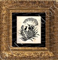 cadre-ancien-or-CHAMBRIER_Armorial Neuchâteloises,Tripet, Colin_Suisse ()