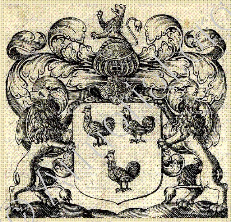 HANEGREVE_Noord-Brabant_Nederland