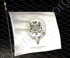 drapeau-de LAAGE DE LA ROCHETERIE_Saintonge, Orléanais_France