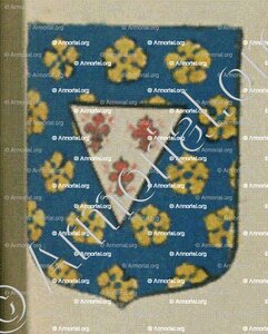 TARTEAU St GENIS (Alsace)