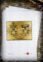 velin-d-Arches-MEDICI_Exposition Jemmapes, Mairie du Xe arr. Paris (1988)._France Expo L.S.(Comtes de)