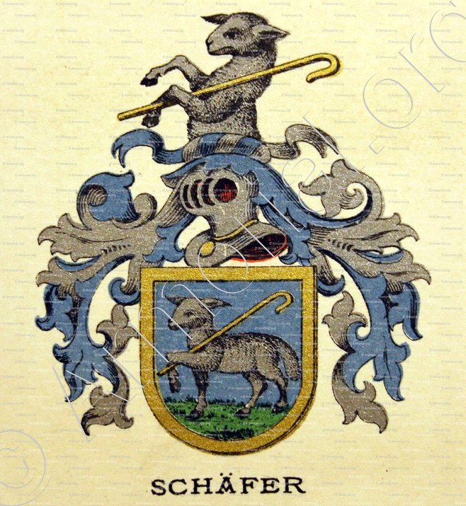 SCHAEFER_Basel (Bâle)_Schweiz (Suisse)  (0)