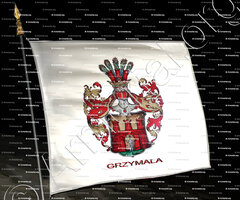 drapeau-GRZYMALA_Grzymala. (Armorial Daniel Sandoz, 1996.)_Poland.. (3)