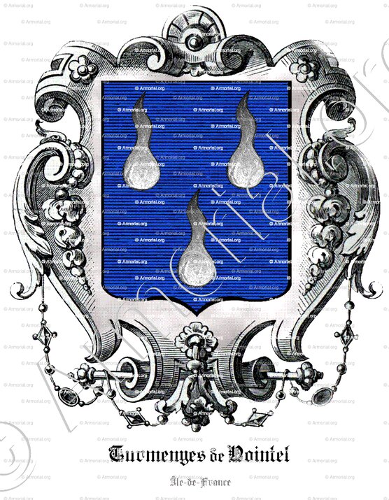 TURMENYES DE NOINTEL_Ile de France_France (1)