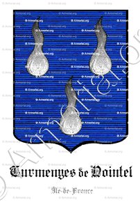 TURMENYES DE NOINTEL