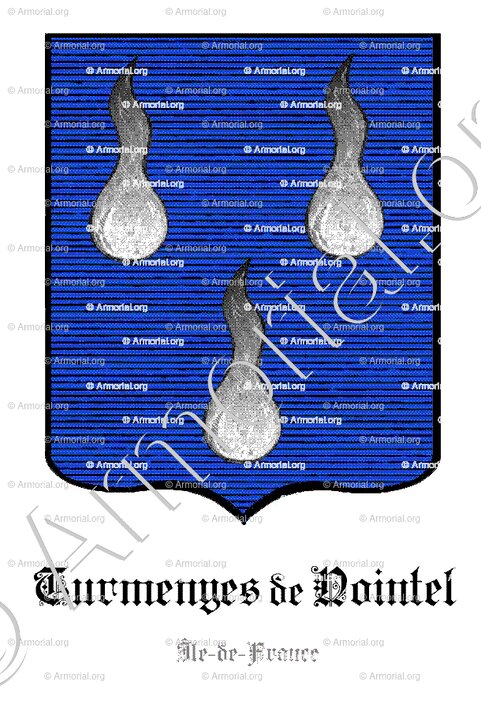 TURMENYES DE NOINTEL_Ile de France_France (2)