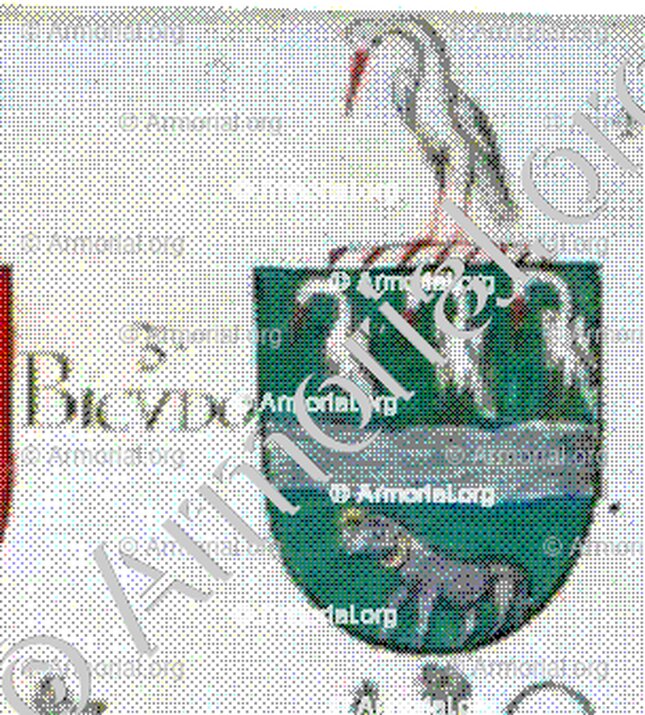 BICUDO_Ribeira Grande_Portugal