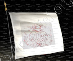 drapeau-PERRIN DE LA MOTTE_Armorial et Nobiliaire de l'Ancien Duché de Savoie (Cte de Foras, 1863)_États de Savoie
