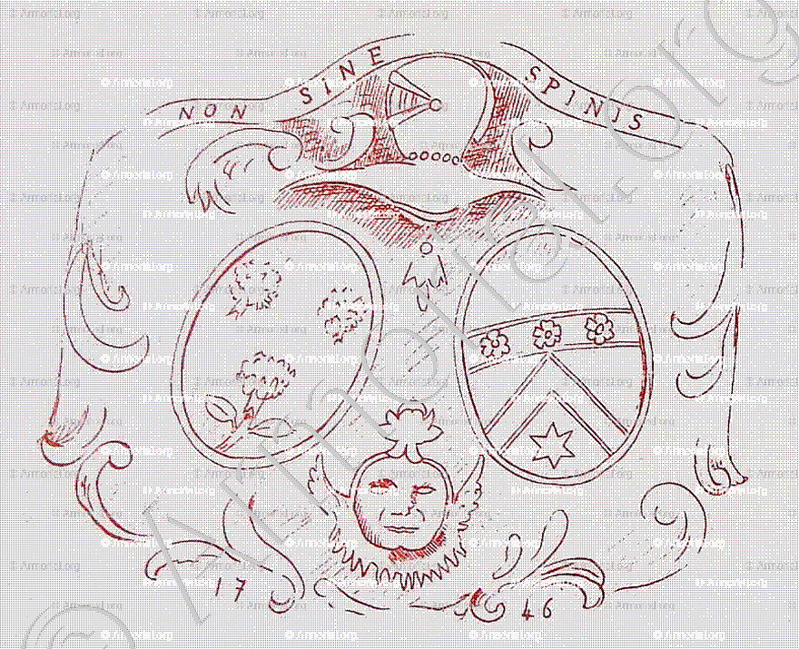 PERRIN DE LA MOTTE_Armorial et Nobiliaire de l'Ancien Duché de Savoie (Cte de Foras, 1863)_États de Savoie