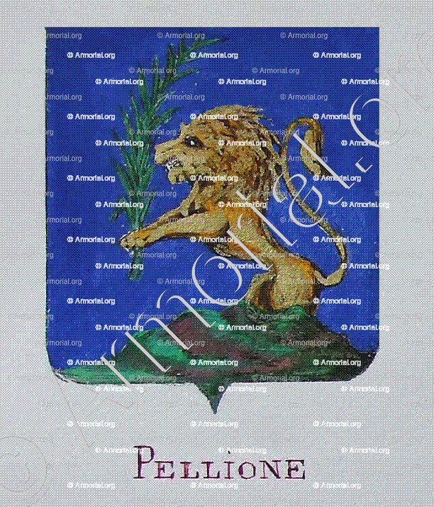 PELLIONE_Armorial Nice. (J. Casal, 1903) (Bibl. mun. de Nice)._France (i)