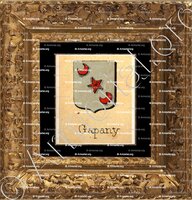 cadre-ancien-or-GAPANY_Livre d'Or du Canton de Fribourg (Freiburg). (Alfred Raemy, 1898)_Schweiz Suisse Svizzera Switz