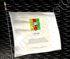 drapeau-GUILAVOGUI_Paul Guilavogui Guinée France_Afrique France (iii)