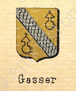 GASSER