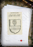 velin-d-Arches-GAMBARINI_Forli, Romagna._Italia
