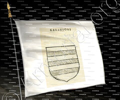 drapeau-GARATTONI_Forli, Romagna._Italia