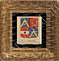cadre-ancien-or-LE CONTE DESGRAVIERS_Noblesse d'Empire._France