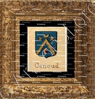 cadre-ancien-or-GENOUD_Livre d'Or du Canton de Fribourg (Freiburg). (Alfred Raemy, 1898)_Schweiz Suisse Svizzera Switz