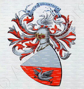 ROCHETTE