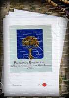 velin-d-Arches-PIANAVIA ROVERIZIO_Armorial Nice. (J. Casal, 1903) (Bibl. mun. de Nice)._France (i)