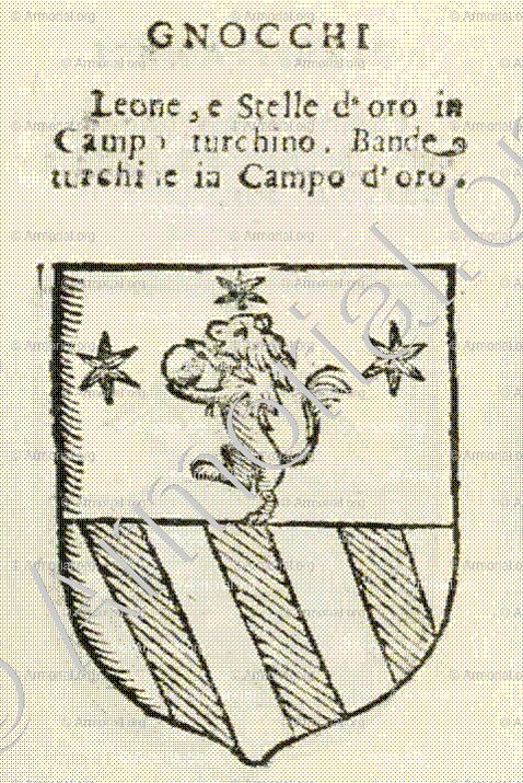 GNOCCHI_Forli, Romagna._Italia