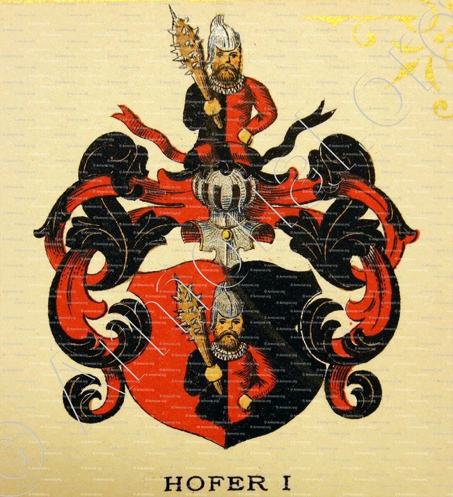 HOFER_Wappenbuch der Stadt Basel . B.Meyer Knaus 1880._Schweiz. Suisse. Svizzera. (i)