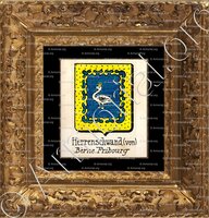 cadre-ancien-or-Von HERRENSCHWAND_Berne, Fribourg._Suisse