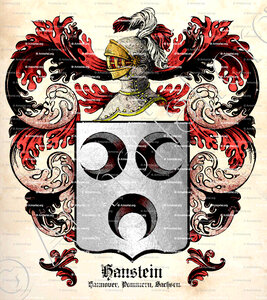 HANSTEIN