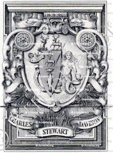 STEWART DAVISON