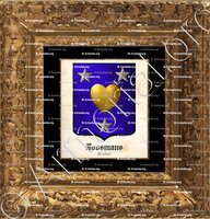 cadre-ancien-or-COOSMANS_Brabant_Belgique