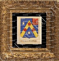 cadre-ancien-or-LE PAINTURIER DE GUILLERVILLE_Noblesse d'Empire._France