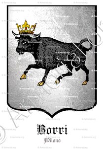 BORRI