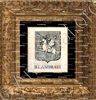 cadre-ancien-or-BLANDRATI_Incisione a bulino del 1756._Europa