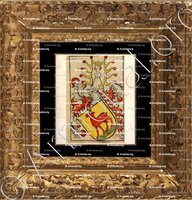 cadre-ancien-or-THIERSTEIN_Valeran 1320, Alsace. Comte. Fribourg, Scheibler'sches Wappenbuch Elsass_Frankreich, Schweiz.