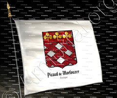 drapeau-PICAUD de MORFOUACE_Bretagne_France (2)